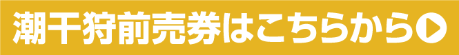 チケット購入