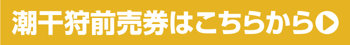 チケット購入